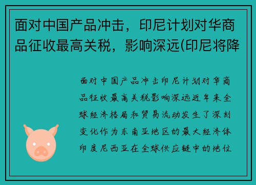 面对中国产品冲击，印尼计划对华商品征收最高关税，影响深远(印尼将降低进口关税)