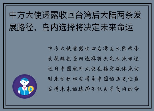 中方大使透露收回台湾后大陆两条发展路径，岛内选择将决定未来命运